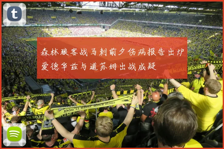 森林狼客战马刺前夕伤病报告出炉爱德华兹与道苏姆出战成疑