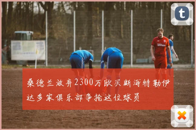 桑德兰放弃2300万欧买断海特勒伊达多家俱乐部争抢这位球员
