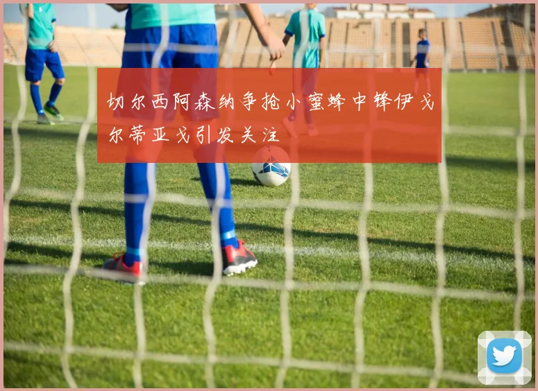 切尔西阿森纳争抢小蜜蜂中锋伊戈尔蒂亚戈引发关注