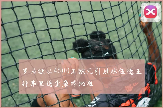 罗马欲以4500万欧元引进林伍德正待弗里德金最终批准